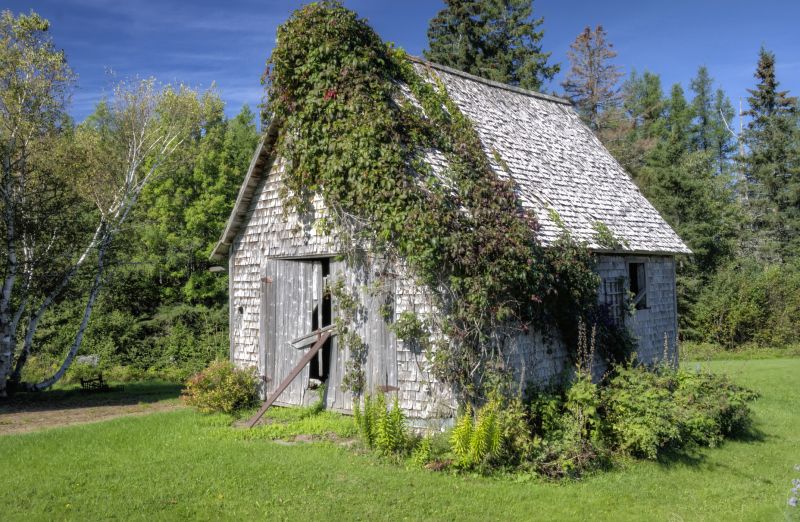 Popular Materials Used In Shed, Barn, And Gazebo Construction